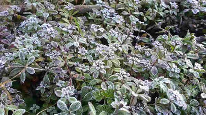 ת�ۼ����붬���������ֵ�����ʼ�������������ӵ����������ܹ��ֺ����������������Ķ�ͯ�����������ѧϰ����Ӱ�졣������ů����������Ϊ��Щ���ֺ������Ķ�ͯ��ƶ����ͯ�ṩһЩ�������ʣ�����Ҫ���ǣ������Ǹ��ܵ������İ��ģ��������Ķ���Ϊ���ǵ��������һ����ů����������첻���䡣