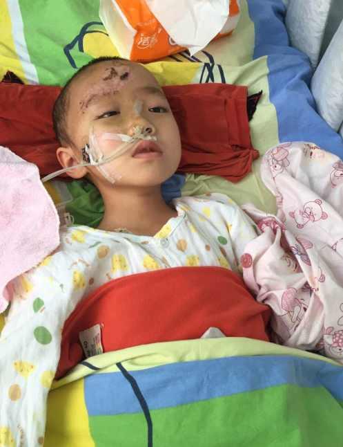 ��˧���궼���ڼҸ����Ľ������ش��㹤����������ƽ�ڼ��չ˺��ӣ�һ�����ھͿ�����˧һ����׬���ǵ�Ǯ���ҡ�2016��4��18�գ�ңңת�������ͯҽԺ��֢�໤�ң��������ٴν�����8���Ǯ������ңң��Ȼ���Բ��ѡ�������Ҫ���ж���޸�������������С�Թ�������������Ԥ��Ϊ20��Ԫ���ҡ�