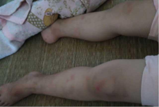 ĸ����������ܣ�&ldquo;����ÿ�����ο�ˮ���������壬���ͻ�����ȥ�����������᳤ֻ�����Ƿ���������&rdquo;С����Ŀǰ�Ĳ���Խ��Խ���أ�����ȫ����������������Ҳ�Ѿ���ʼ���Σ�Ψ������������ֲ�����д���ϣ����