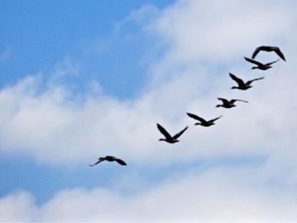 ��ӳ�˵֮ǰ�����������Ƭʪ�ر�Ū�ĳ����ġ�һ��ü��������ϷŽ�ȥ���˺ʹ��������洩��ס��ʪ����Χ���˲�û����Ϊ���������ж��ٸ��ƣ���������ʪ�ػָ����ְ�����Ư�������ڴ�ׯ�ֵأ��������ڵ̰��Ͽ���˵����������⡣��ӳ�����Ҳ����һ�Ӱ��������ר����������Ĺ�����