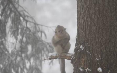 ��������ϲ���Ե�ʳ�������ܺ���Ҷ����Щ�ڶ������ɽ���Ѿ������ҵ���������ԱΪ���ú������ܹ��Եı���ÿ��Ჽ�м�ʮ�����׼���õ�ʳ��ŵ����Ӿ�����û�ĵط���