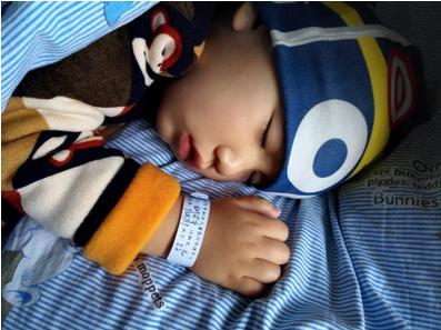 ������ں���ʡ�������괨����԰�´壬����İְ���ǰ���Ϻ��򹤣�������һ���ʽ��ص��ϼҾ�Ӫһ���Ա����̣������Ǽ�ͥ�������ڼ��տ��ź��ӡ�