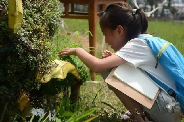 ����ռ���⿪�ţ�����ϣ��������Գ�Ϊ�ҳ�����ѧϰ������������������ʽ�����ģ���Ϊ�����ǵ���Ȼ��԰��ͬʱ�������ƽ̨�������Ϻ���ʡ��һ����Ȼ��������������Ȼ�������ĵ���Ȼ��ʦ��ͬ������ĩɭ���׶�԰��Ŀ���齨&ldquo;Դ����Ȼɭ���׶�԰&rdquo;��