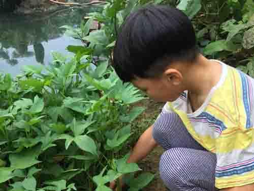 ����լ����֮ǰ���������ܱ�֤�±������Դ���լ��ʼ��Ѫ��ÿ�µ�ҽ�Ʒ����ø�ĸ�����ظ����������ӵ������Ҳ�ü�����Ӽ��ѡ�Ϊ����Ǯ����ĸ�󲿷�ʱ�䶼����򹤣�үү�����ֻ������˻����ʳ���������á�