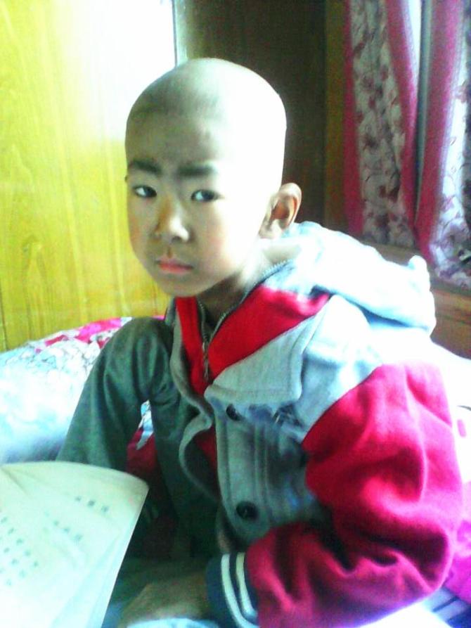 ��ֲ���ֳ��������ص����죬������������һ���У���³����������˲��������ʹ�࣬���治���棬���ѧУ�ֲ��ܣ�ֻ�ܴ��ڼ������8�꣬��Ӧ��ѧУ���飬��С����Ǿ�����棬�������ڵ���ʲô����������