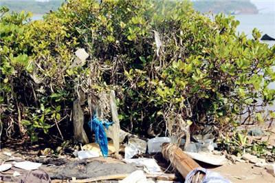 �ں�Ư������ ����ľ�����ĭ��������Щ�Ժ�������������к������Խ���İ�ɫ��Ⱦ���Щ��Ư����������Ⱦ�ź��� Ҳʹ��&ldquo;������ʿ&rdquo;���������ڶ��ӵĻ����¡�