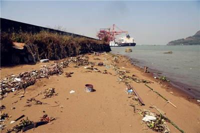 ������Ҫ��ʲô��  ��������������Ϊ&ldquo;��������&rdquo;�����������ĵ�ÿһƬ���ϣ����п�������󺣡�����˵��������½��һ����Ⱦ���&ldquo;������&rdquo;��ͬʱ����Ư�����������ԣ��Ա���ʪ�ص���̬ϵͳ��ɻ�����Σ�����������к����������������ǻ�����ʳ����������������ƶ�������������������֮��������������