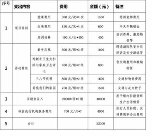 【我们怎么做】本项目预计开展7个月，总预算为52300元。