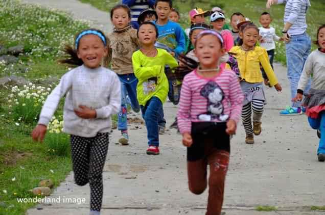 �����еĺ�����