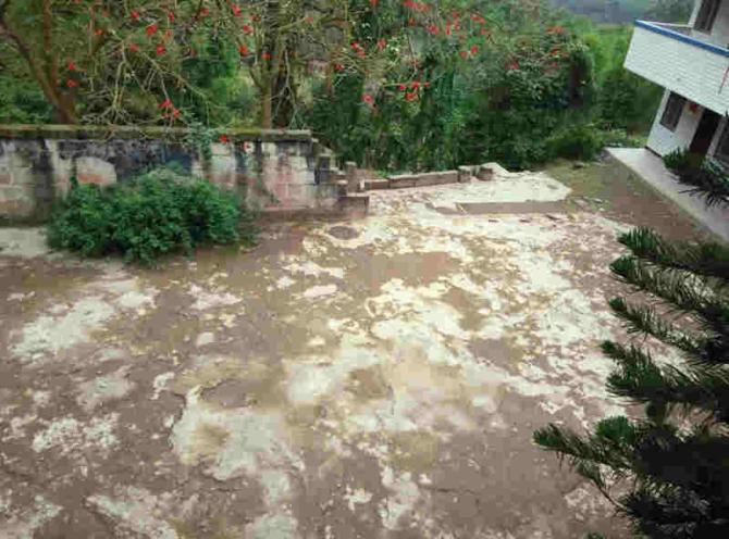 ѧУ�İ��Χǽ�Ա�����û��һ��У�š��¿��ˣ���������С�����Ƶ���ɽ�������֡���Ȼ����ũ��ĺ���ɽ�ﳤ��������������������ʦ���ĵ��������º����ǿ���ˤ�š���ʦ�Ƕ���������Ը����ϣ���ܽ���Χǽ���ú���������һ����ȫ�����У԰��