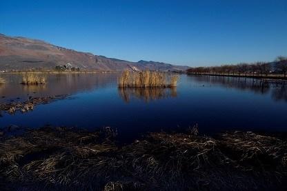 �����ϣ���һƬʪ�ؽк���ݺ����긴һ��Ⱥ���Щ��Խ���ĺ��� ����Ĺ����ǹ��ڵȺ򣬹��ڳ�ŵ�Ĺ��¡�����������һЩ�˺ͳ�ŵ������һ�����ۺ����Ƿ��ܰ�Ȼ�ִ���Ⱥ���&hellip;&hellip;