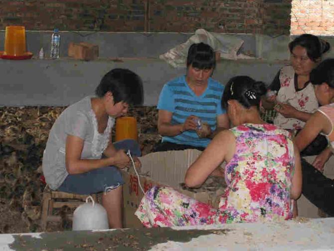 ���������ظ�Ů������Ĵ壬��Ա�ǿ��ֲ��뻥�����������������ظ�Ů������Ĵ壬��Ա�Ƿ���ѧϰ��ֻ���߼�����ͨ���軥����ƶ����Ů��������ϵķ�չ