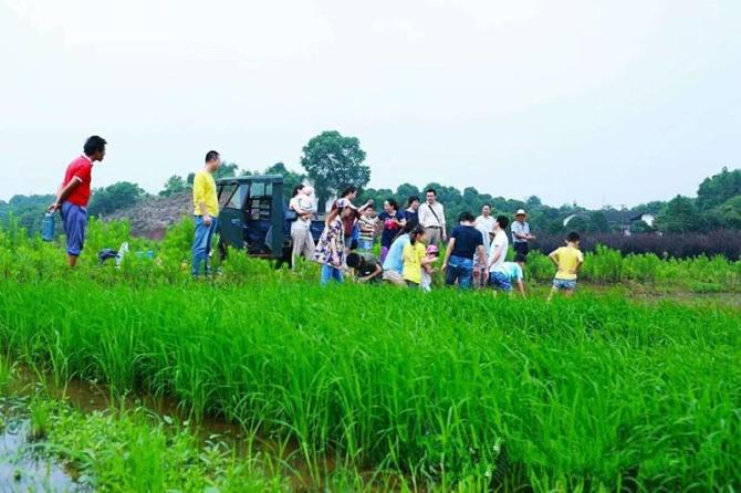 Դ�� ɭ���׶�԰���ص������üҳ����������ת�䣬ͨ������н���ļҳ�����ɳ��������ר�ҽ��������������ȷ�ʽ�������׽���Ȼ�����������ע���˵ķ�չ�Ľ������