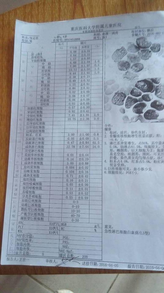 ÿ��˺���ѷεĿ޺���֪����ôСС������Ҫ���ܶ���ʹ��&hellip;&hellip;��ÿ�����꣬�����ز���ʱ�����۲���ʱ���ּ�ǿ��˵&ldquo;������&rdquo;����ʲô����Ķ���ʱ�������ֵô�Ц����&hellip;&hellip;