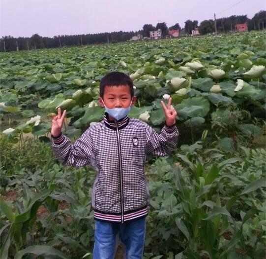 ҽ�������������ֲ������������ѩ��Ϊ�ȶ��ӵ������Ծ��˼�Ŀ�ͷ���ܾ��˼�����������������̥����ֲ���͡�2014��11��25Ի��һŮ���͛]���ϣ�������������ҵļ������˾��ø�����2015��6��29Ի��ס������ʡ��ҽԺѪҺ��������23������ֲ������