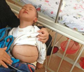 ������Ҫ���г�������Ƣ�࣬������2015��11��23�գ��������ƽ��������ҽ���Ƣ���г�����������Ψһ�İ�ο�������ܳɹ��������Ѿ��ɹ��г����������״�ĸ�Ƣ��