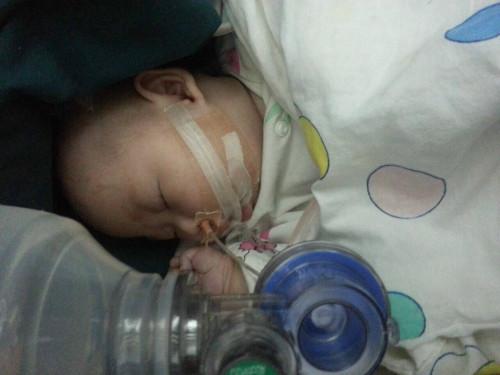 12��17�գ���Ϊ��������һŵ�ٴν���ҽԺ������������ҽԺ���˺����������תԺ��֣���е�һ����ҽԺ����Ϊ������أ�һ�ܺ�һŵ�ٴ�תԺ�����뱱��������ҽԺ��һ��ͯҽԺ��֢�໤�ҡ���һ��ȥ��ֱ�����ڶ���û�г�����