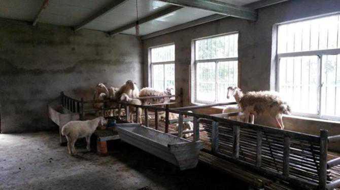 �����и��������֯���к�ʵ�ؿ��죬���㵱�ز�����Դ�ḻ�����Ի��ι�����������ϳɱ���ͬʱ�����л��������лع���������������׼ƶ��Ⱥ�壬������ƶ����ͥ����Ϊ���ģ����ڼ򵥵ؽ����ƾ�����һ����֮�������þ�׼����ƶ��Ŀ����ƶ����������Ѫ����������֯��ֳ����ѡ����������Ʒ�֡�