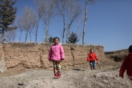 5��������ü�ס�ຣ�ֶ�������磬�ֶ����ǹ��Ҽ�ƶ���أ�����ش�������ԭ������ƶ񤣬����ȱˮ��Ӫ�����ѷ�����5����������߲���1�ף������ͬ�亢�ӵ������������5���ֵľ��롣