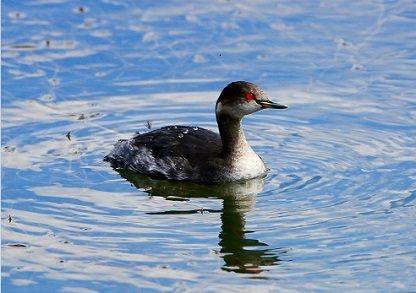 ÿһ�꣬��ӳ��������Ŭ�����赲��Щ������ˣ������������񣬾���Щ���˶�ҩ����Ȼ��ŷɾȻ���񣬿������Ƿ�ȥ���ȴ����ǻ�������ӳ��ں����������������˴�뱲�ӣ����������������������ȥ��Ҳ�����˻ָ��ݺ�ʪ�أ��������»����Ĺ��̣��������Ǻ������ݺ���Ȼ�������ĵĶӳ���