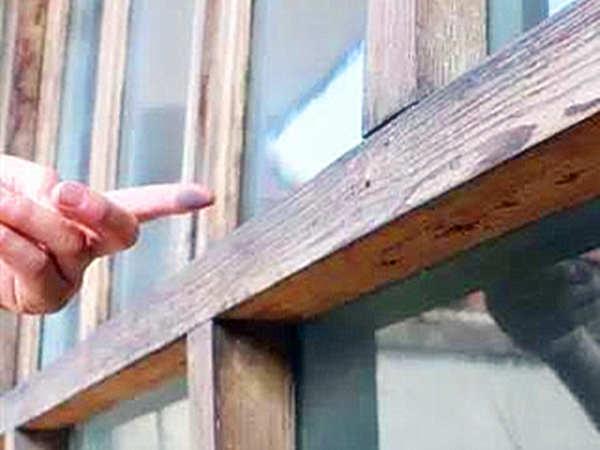 ʮ�������������Ǿ��������ⱻ��Ⱦ�Ŀ����У�������Ҳ��Խ��Խ����˻����˺�����������