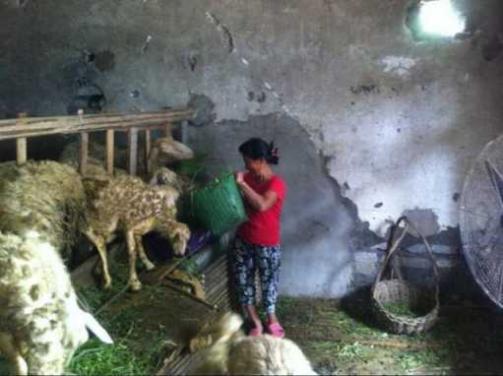 С������ڻ���سԲ���