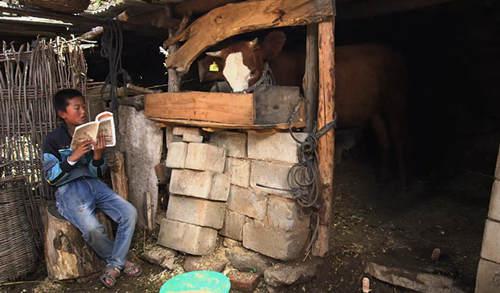 ��Ŀ��Ϊ������������׶ε����ض�ͯ��ƶ����ͯ�����������䣬ÿ���������������׼Ϊ200Ԫ�������꼶��ͬ���ò�ͬ�����Ķ��鼮��