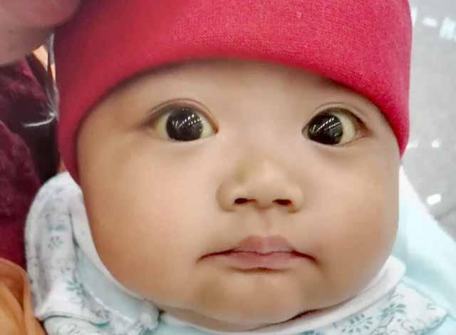 2015��3��21����ũ���Ķ��³�������䴫˵��̧ͷ�����ӣ�С�������������ã�������һ����糿9��22�����������Ľ����ؽ�ɰ�壬С�һ�ĳ������������һ��СС�Ķ��ӣ����ⴺ����������ͨ��ũ�Ҳ������µ�ϣ��