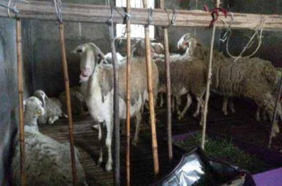 ������С���Ϊƶ����ͥ����ϣ������ֳ��ר�űٳ����ᣬ������ֳ