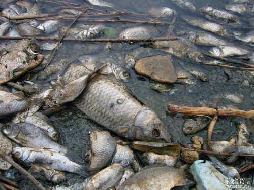 ���綫С��ڻ���԰���������㡿2017��2��ǰ���ٷ���1����Ⱦ��ҵ�������ϡ�2017��4��ǰ��֯һ��Σ����ҵ����ý�����ᡣ����������������NGO��ý��μӡ���