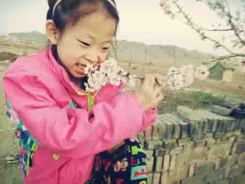 �õ������˵İ������Ļ�������һ��˨���������Ȱ����ȳ�Ѫ��Ѫ�ܶ�ס��Ŀǰ���ȱ�ԭ����ϸһЩ���Ļ۵�Ѫ�����Ƚ����أ��Ժ�Ҫ���Ĵ�������Ѫ�ܽ����޸���ÿ����������Ϊ����Ԫ��һ����Ҫʮ����Ԫ��ҽ��˵�Ļ۵Ĳ������κã��ɷ��ö����������ǳ��صĸ�����