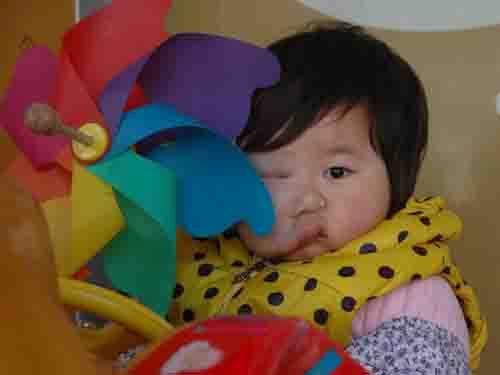 ���������Ը���ʡ�����г�͡��������һ����ͨũ���ͥ�����ڳ�͡�ذ��˴���Щ΢�����룬��ĸҲ�ǵصص�����ũ���ˣ�����Ҳ�����򲡺͸�Ѫѹ��ĸ���ȽŲ����㶼û�����룬�����ڼҴ��������ӣ�һ������ڳ�����һ�˵����ϣ�С������2014��12��8������СŮ����Ϊ�����ͥ����ϲ�á�