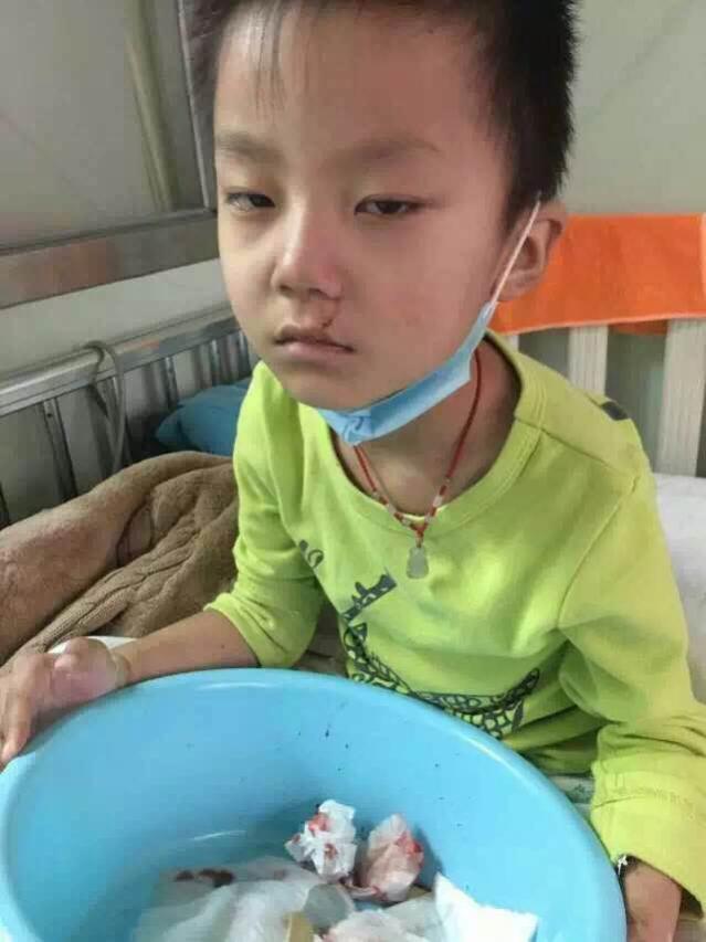 ����������ȴ�