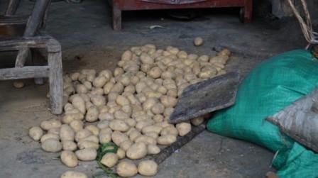 ��������Ӻ���������С����һ�굽ͷ��������ʳ��ְ���������򹤣�ֻ�й���ؼ�ʱ�����ܴ���һЩˮ��������һ�������Դ��ڳɳ��ڵ����ã���ЩԶԶ������