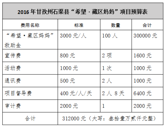 ��Ŀִ����Ԥ��