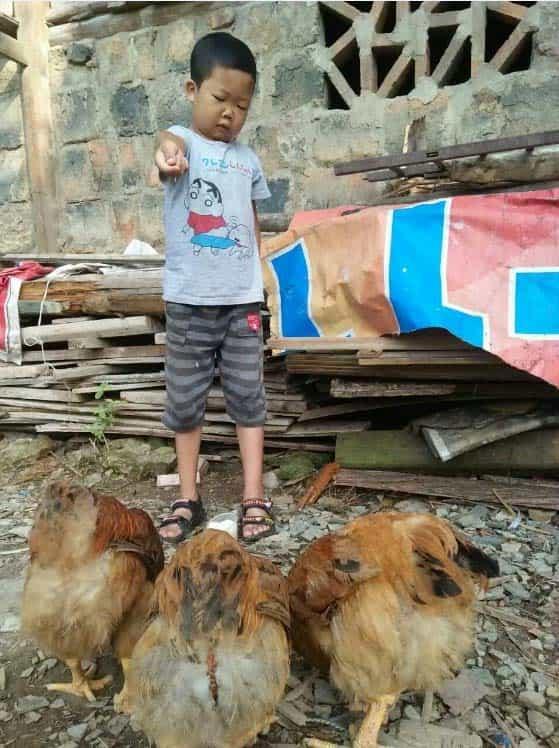 ����5�£�&ldquo;������&rdquo;������ݼٻؼҼ�϶������&ldquo;��ƶ&rdquo;�ܵ�͵͵�������ͣ��������ھ������һ���ˣ������ܵܵ����;�Ȼʮ��λ��ȫ��ϣ�ҽ��˵���Խ�����ֲ������������������8���ˣ��������ʱ������ֲ��������ô��������������ֲ�ķ��ջ�������ӡ�