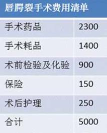 ��ĿԤ�㣺5000Ԫ�Ϳ�������һ�������ѻ��ߵ��������ã�5000Ԫ/��*20=100,000Ԫ,������Ҫ��Ŀִ�з���5263Ԫ����105263Ԫ��