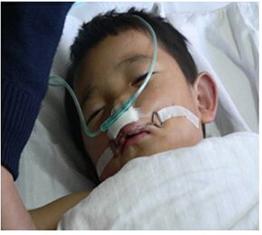 2008�꣬����Ϊ�����ṩ��ȫ����ѵ�һ�ڴ������޸������� �ո�����������࣬��δ���ѡ�