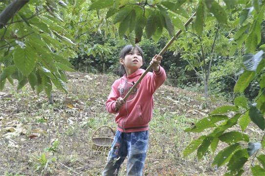 ��ë���ӵ�СŮ��