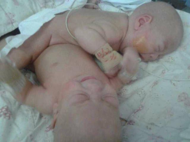 �ֵ�����������������ܺã��Ѿ����Խ��з��������ˡ�