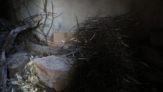 ����ʳ��ÿ�춼��Ҫ��������ǵĳԷ����⣬ÿ��������ʳ�ļ�ˮ�������ǧԪ��������Ϊ�˼���С����ѹ�����Ƚźõľ���������ɽ���Щ�ɲ�����ʡ������úǮ��