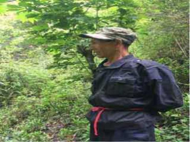 ����Ȧ��������ֻ�ܳ�������1-2���λ�����ݣ���Ȧ��غĹ����Զ����䡣��Ŀ����ȷ��С����������Ұ�������ֹͣ���档