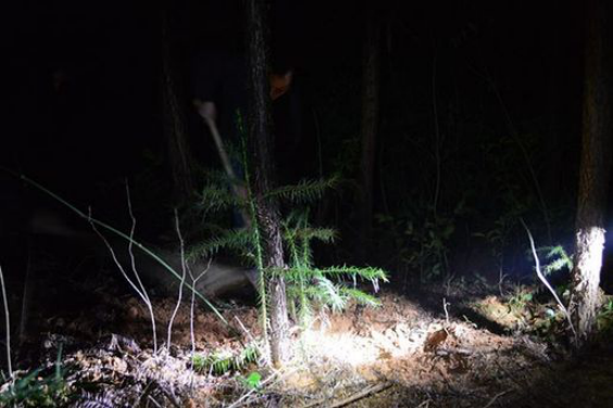 2016��1��4�գ��ո�̤�����꣬����һλ�����򲻿����񡢾���ѹ�������ϼҷ��ӵĺ�ɽ�ϣ����������˻����Ա�֢�Ķ������顣��ʵ������&ldquo;����ְ�&rdquo;�����������ߡ�2010��11�£���ݸ&ldquo;��ĸ&rdquo;��Ⱥ�����������̱���ӣ� 