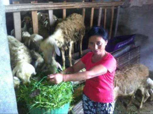 Ů���¸�ͦ���ͥ���ص�