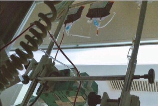 8��15�գ����ֵ�9�죬������������Ӧ���¸��պͻ��ԣ������������Σ�19�ղŻָ����ѣ�ǰ�ڳ����Գ������ȫ�����ꡣ