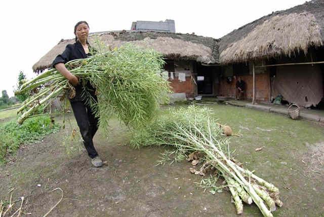 һλ�ѹ���Ѯ�ĸ�Ů���ڿ�һ�����Լ�ͽ�ıڡ���ƶ��ɽ��ũ�壬ֻҪ���ܶ�����Ҫ��������������������ң���ɼ����Ρ� 