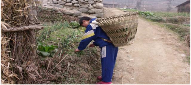 ���۵ĺ���Ь��С��������Ψһ�ı�ůЬ��Ҳ�����Ǽ�Ψһû���ƶ��ı�ůЬ������û����ô�������������