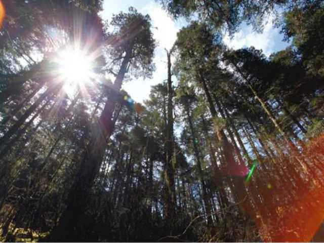 ��Ȧ���õ�GPS��λװ�ÿ�ͨ���ض�������ͨѶ����ֱ�ӽ�����Ȧ���ݵ�ʵʱ���䡣С���ܴ������Ƕ�λ��Ȧ�󣬾Ȼ�վ������Ա��������һ˫&ldquo;ǧ����&rdquo;����Ȧ���ݵĸ��Ƿ�Χ�㡢���ȸߣ�������ʱ�䡢�ص㡢���򡢵������������ơ����ۺ�����̬�������վ�����Ϊ�����Σ����Ƕ�λ��Ȧ����̫���ܵ�Ӱ�졣