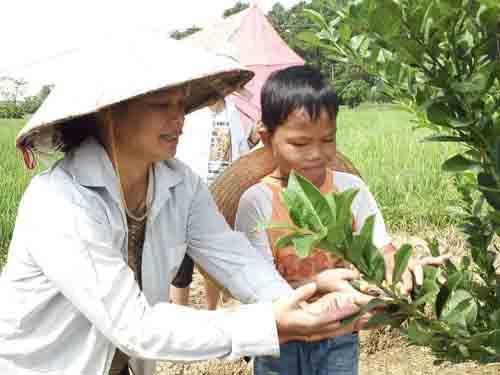 ���鲻���������ҵĽ��������������ҼҵĻ��֣���10������Ϊ�������ҵ��������ҵİְ�������ҹ�������۴��㹤��Ϊ����Ǯ�β������ҵ��������ҲΪ���ҵĲ���������ѧ��ȥ�򹤺ͽ�Щ�ֹ���������������á��ҵĽ������16���14�갡��������ѧ������ȴ��Ϊ�Ҷ��ѧ�ˣ������ᡢ�Ҳ�����