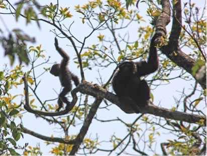 �յ���ش����ϱ��������ɽ�����������������������ˣ��������������ٽ��������ڱ����Ź���������Ȼ��Դ������������ʽ������Ҫ�������������������ÿ��ÿ��������4��н��